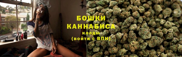 спайс Няндома