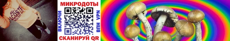 Галлюциногенные грибы Psilocybe купить Новая Усмань